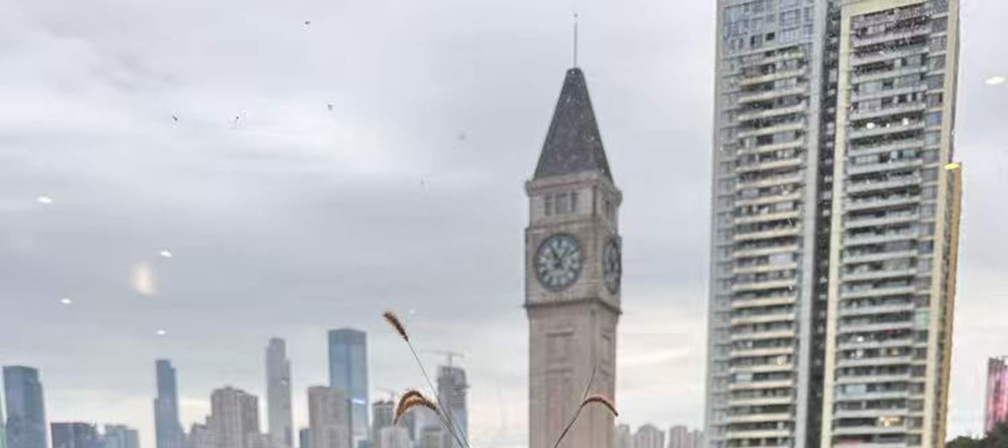 Chongqing Fulai Thé & Co