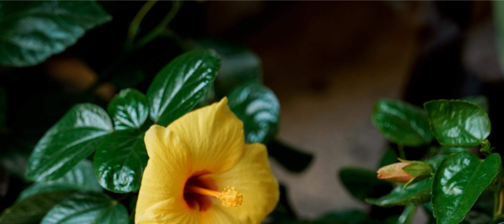 Pasta AMA Ratchathewi Mỳ Ý Tươi & Ẩm Thực Ý Chính Hiệu