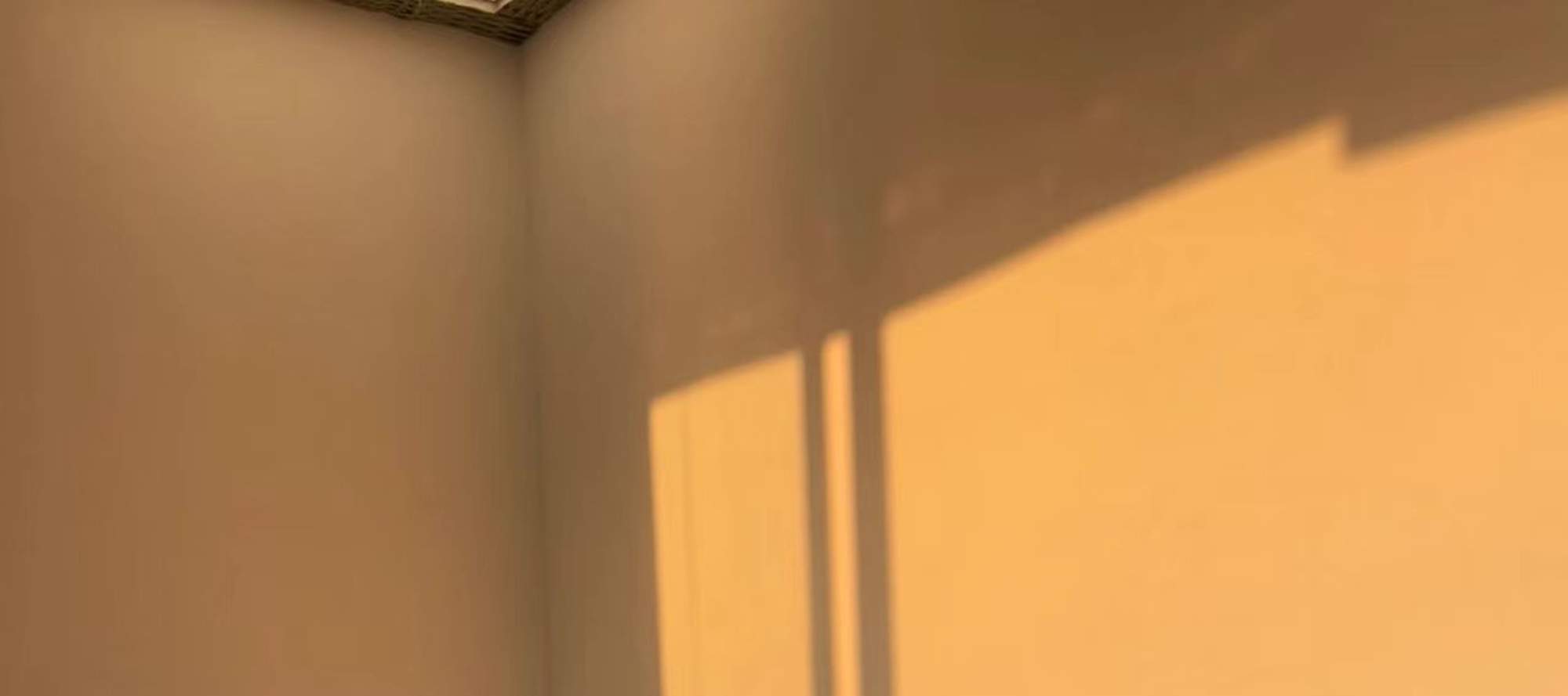 Chongqing Fulai Thé & Co