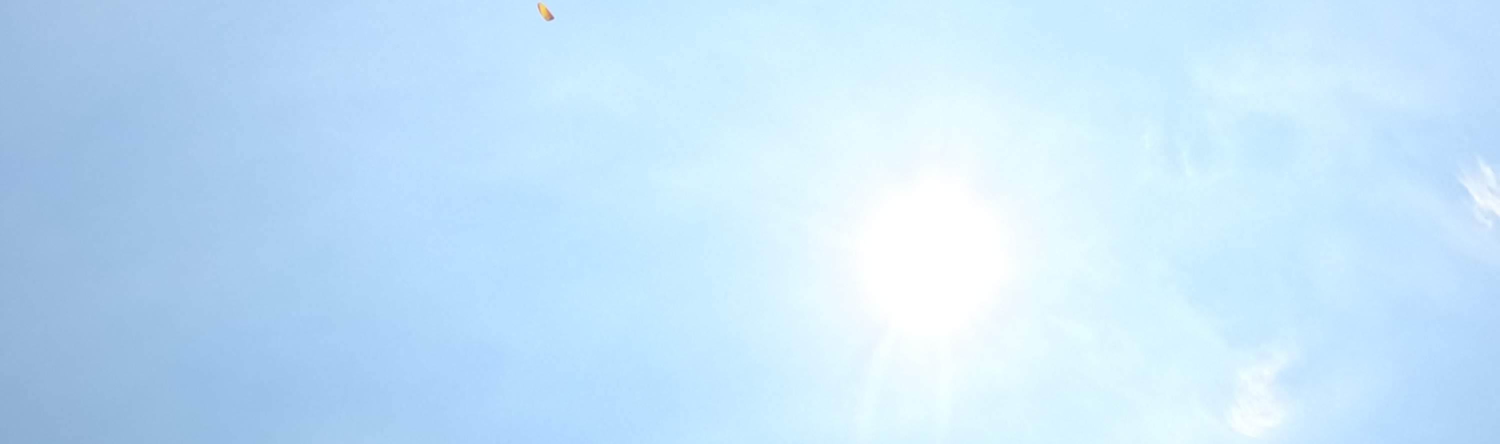 參與者和飛行員對着鏡頭微笑