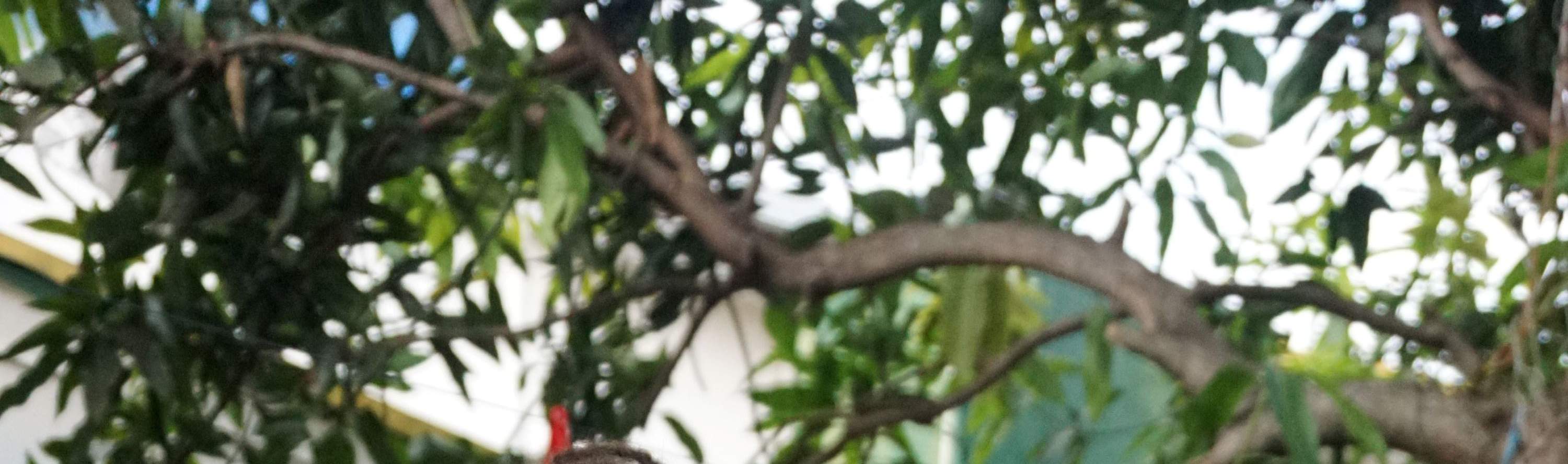 족자카르타 현대 바틱 워크숍 & 천연 염색 체험