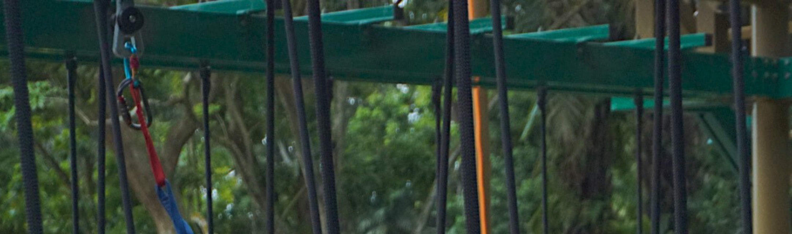 Houbii Spot Rope Course At Zoo