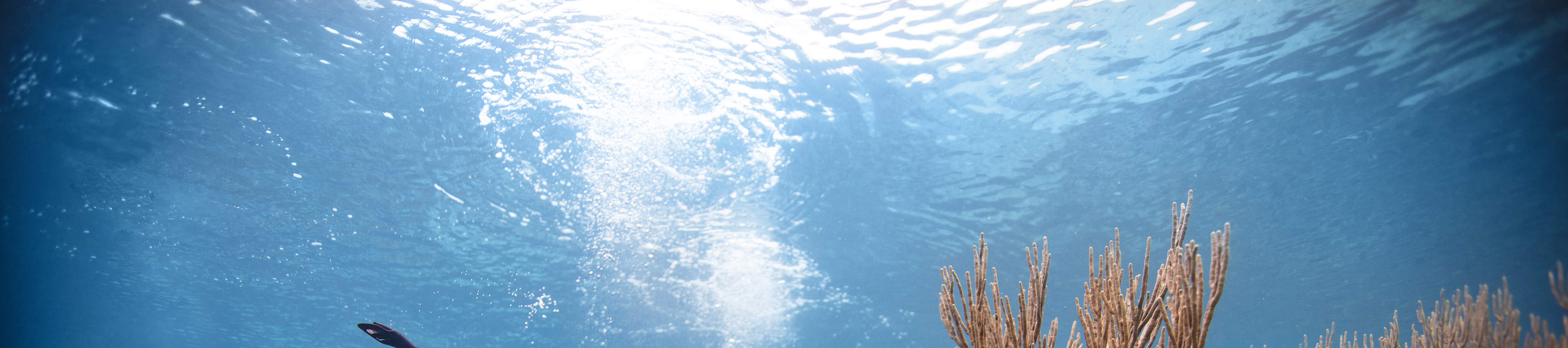 Perjalanan Menyelam Pukul 08:00