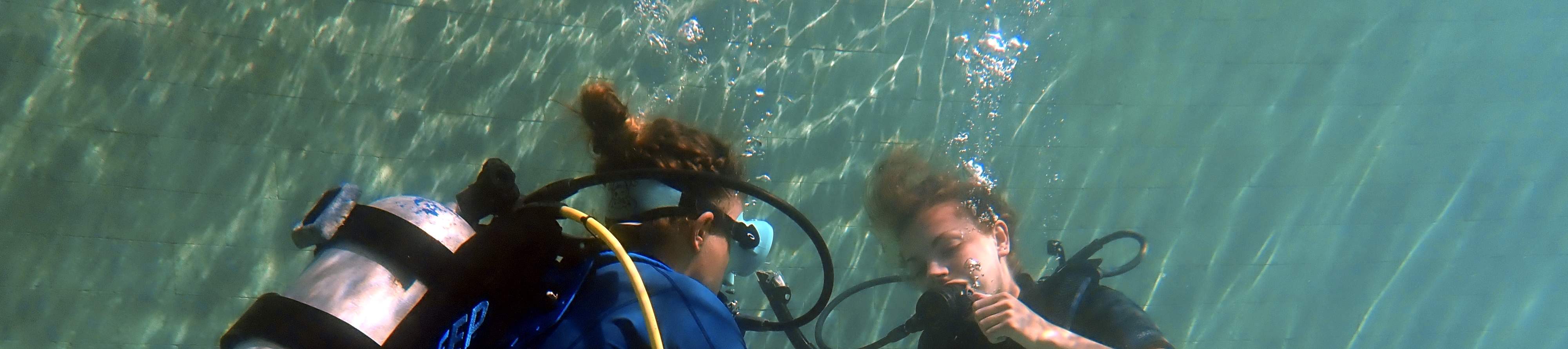 Explore the Depths with PADI OW Diver Course in Bali by a PADI 5 Star
