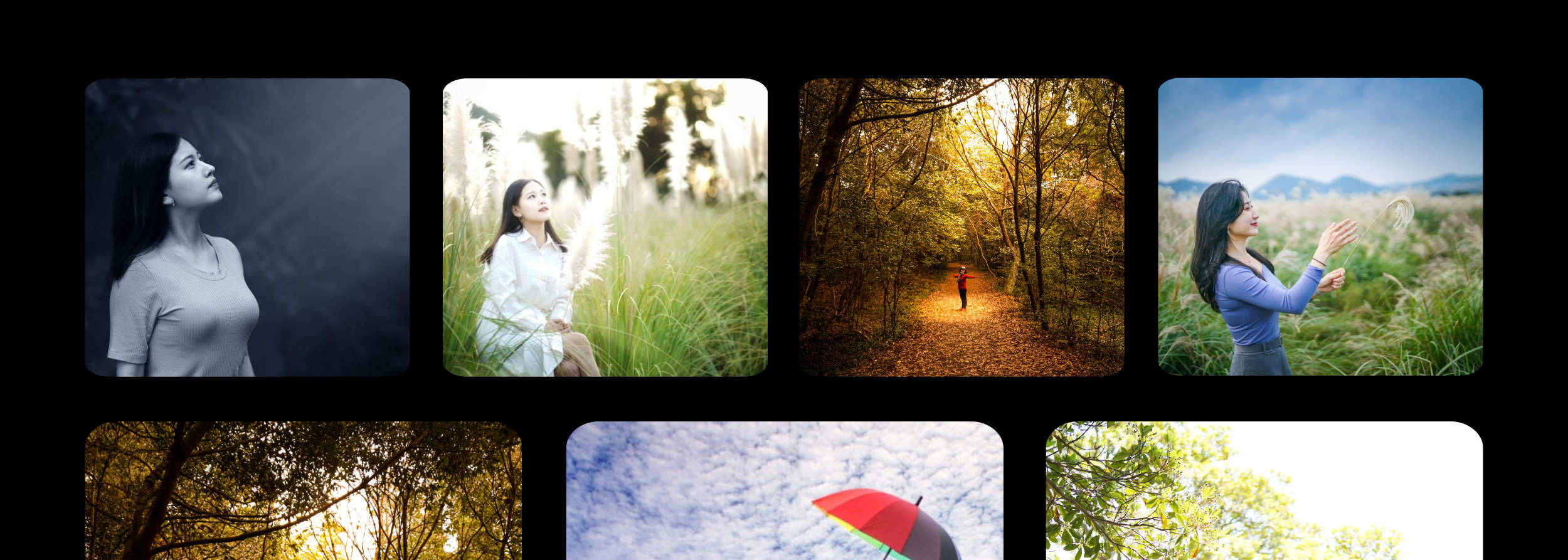 Experiencia de sesión de fotos en lugares emblemáticos de Jeju