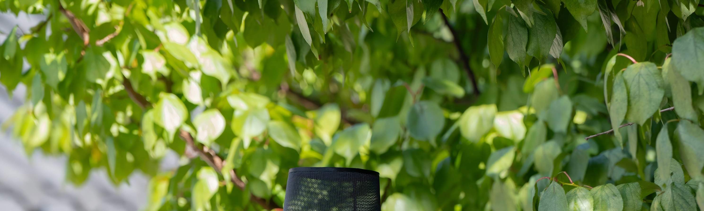 Esperienza di Noleggio Hanbok Jeju Queen's