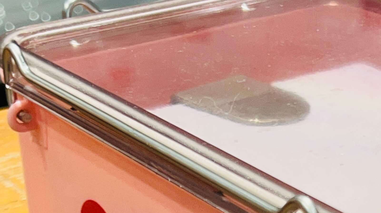 Japanese Press Floral Design Hana En