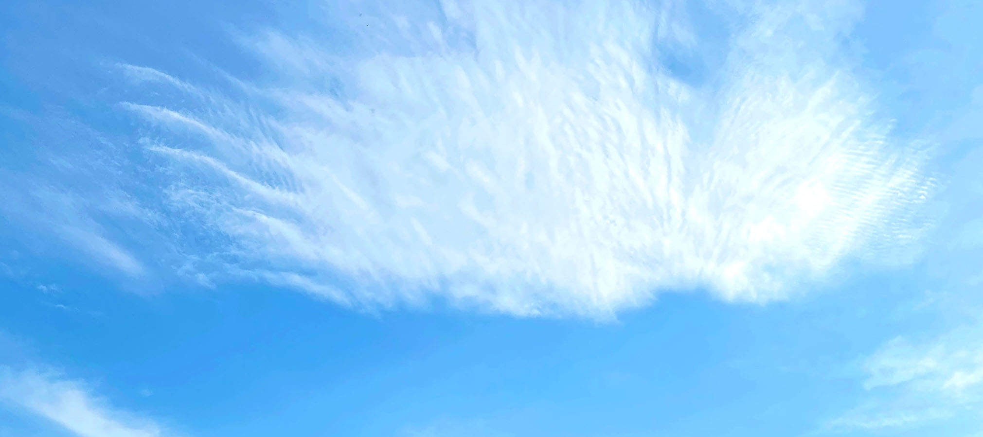 Une expérience pour toute la famille