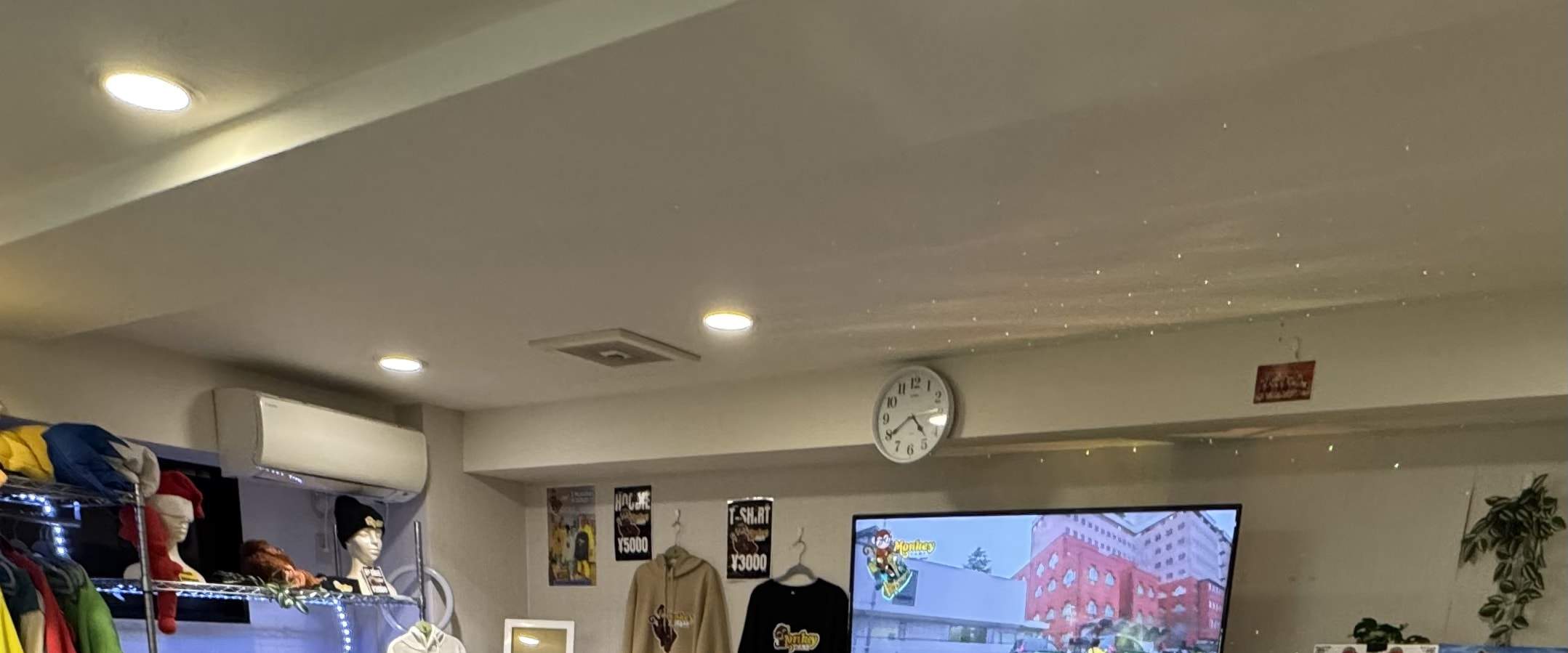 시부야에서 소규모 그룹 고카트 체험