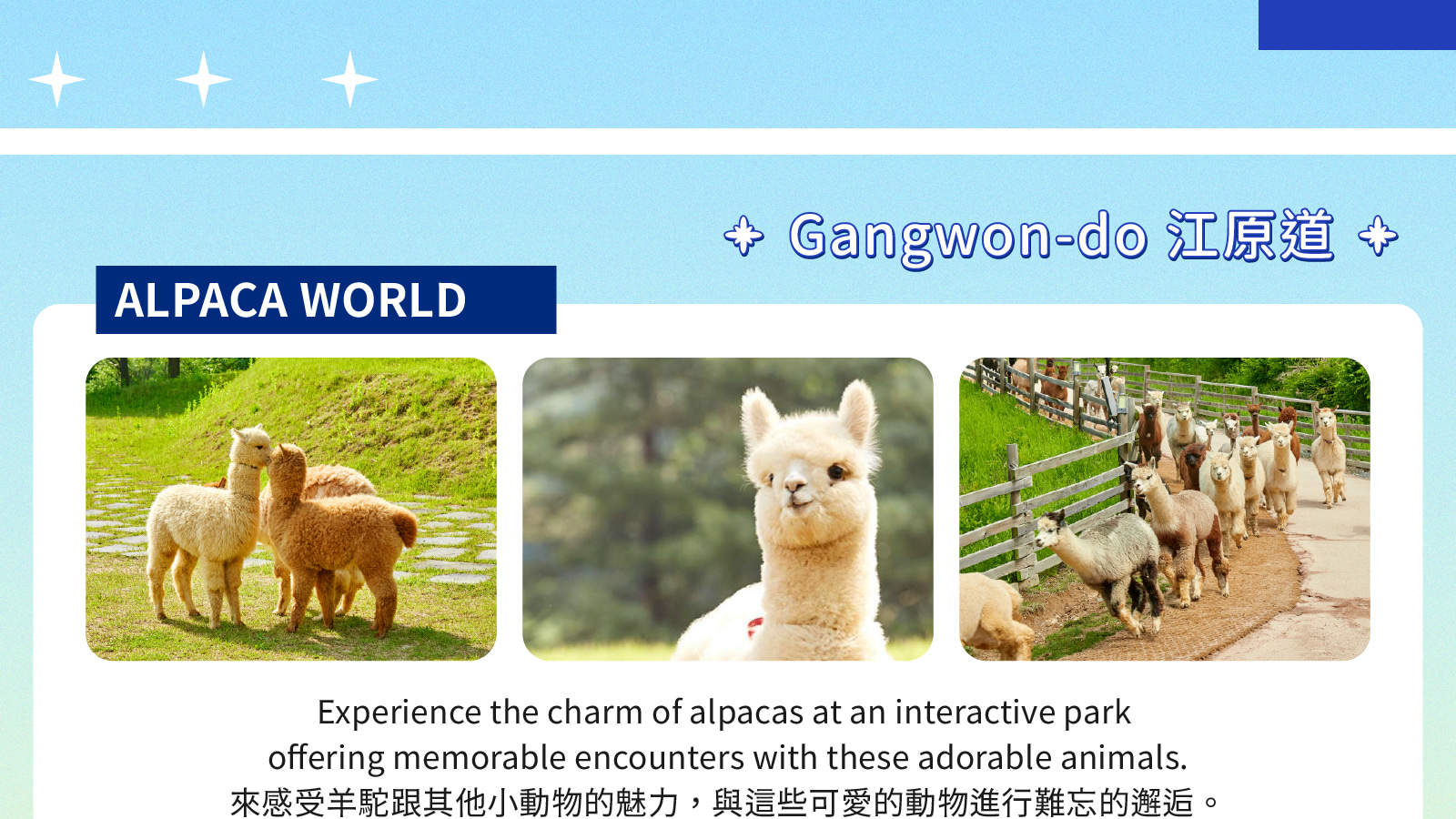 Аренда автомобиля с водителем в Сеуле: туры к Нами/Альпака/Сокчо/Каннын по местам съемок K-драм