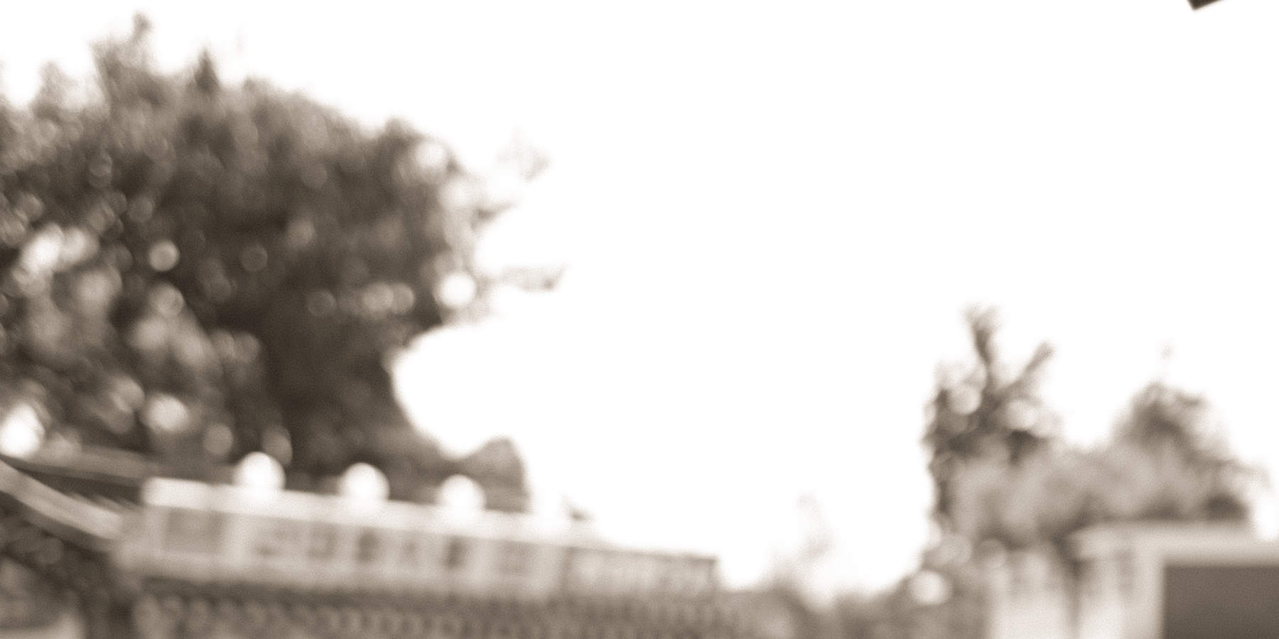 Servizio fotografico con uniforme scolastica tradizionale coreana