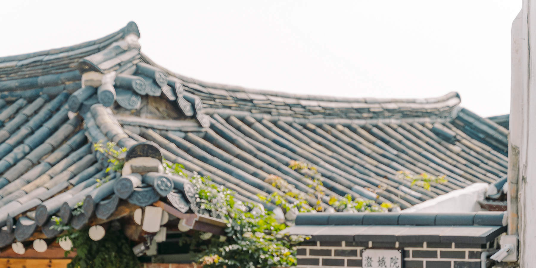 Pemandangan Seoul: Pengalaman Pemotretan