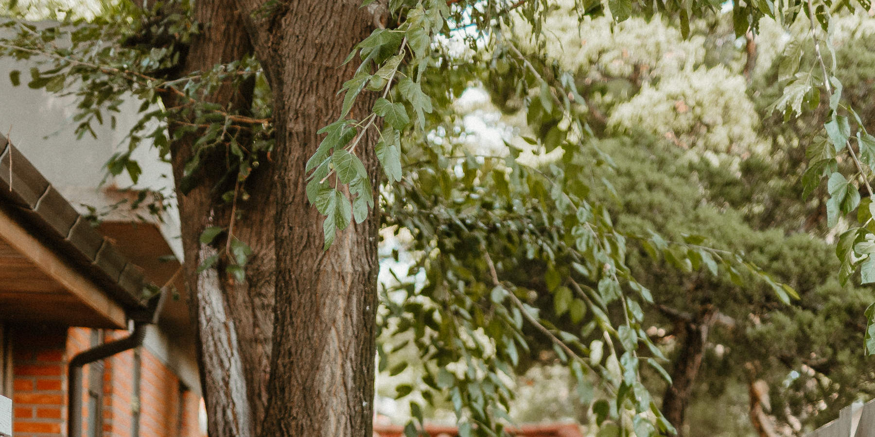 Servizio fotografico con uniforme scolastica coreana vintage