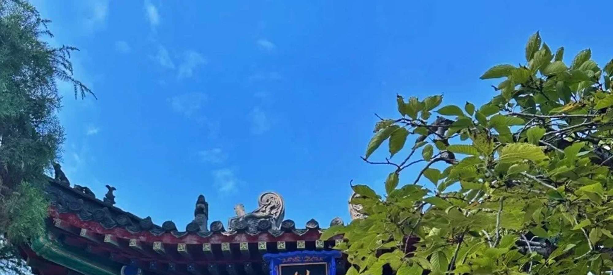 洛陽白馬寺&龍門石窟&博物館一日遊（1400年前の龍門石窟+白馬寺+博物館