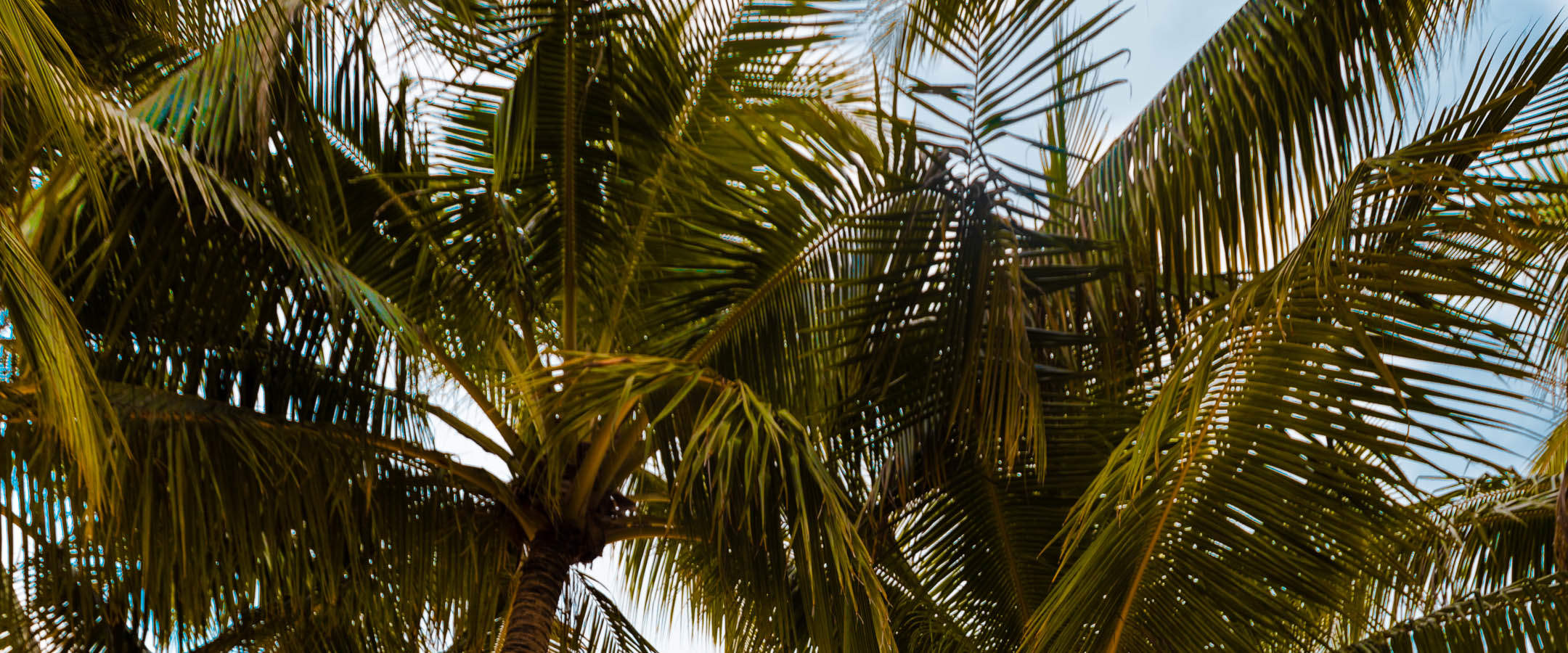 bersantai di buaian di South Palms Resort Bohol