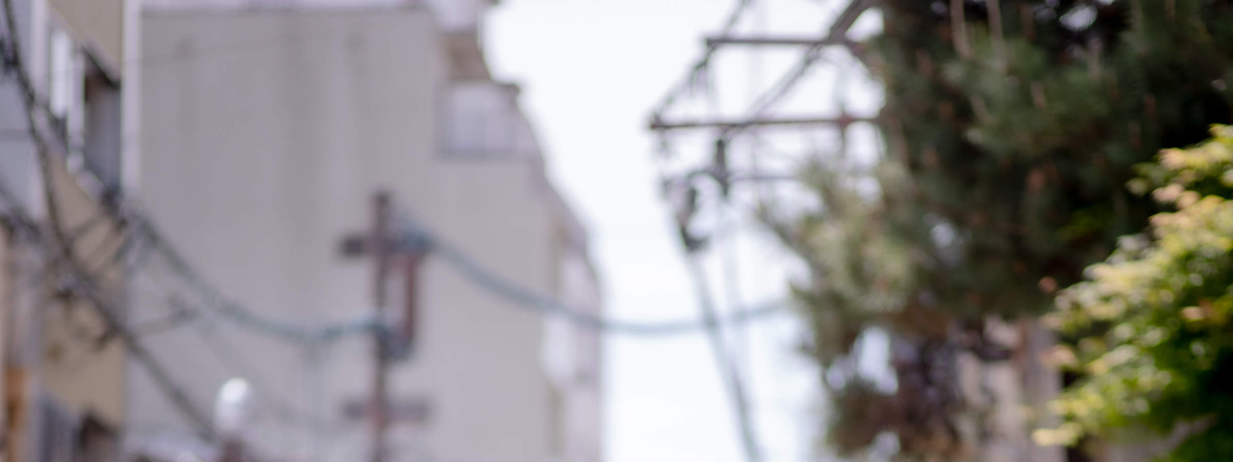 교토 사진 서비스