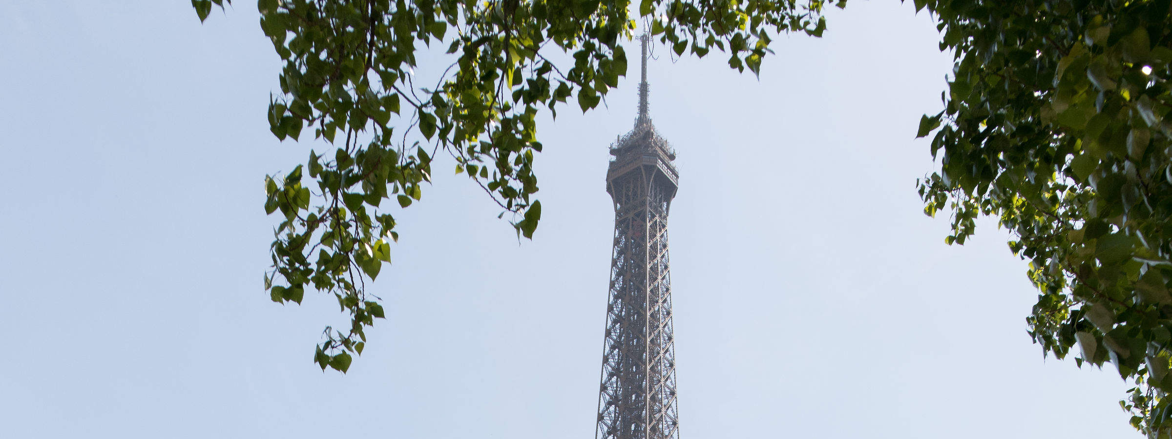 Gourmet Dinner Cruise on Seine River with Live Music in Paris