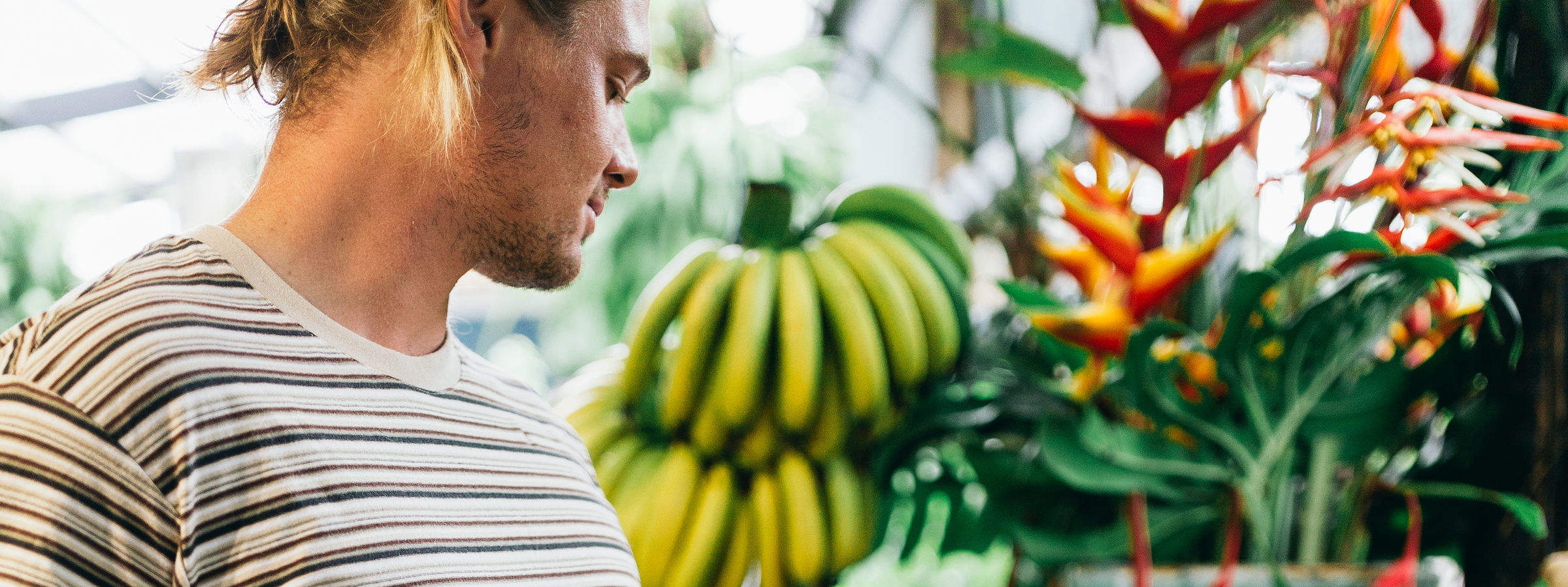 Tropical Fruit World Farm Tour in Byron Bay - Klook, Vereinigte Staaten