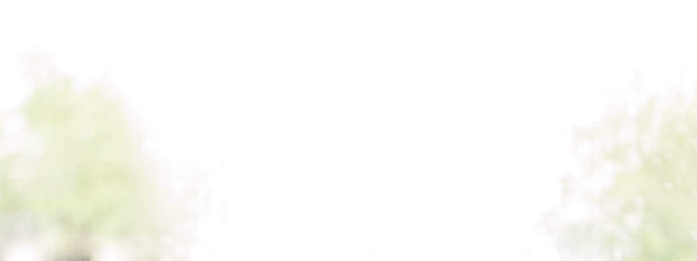 Gourmet Dinner Cruise on Seine River with Live Music in Paris