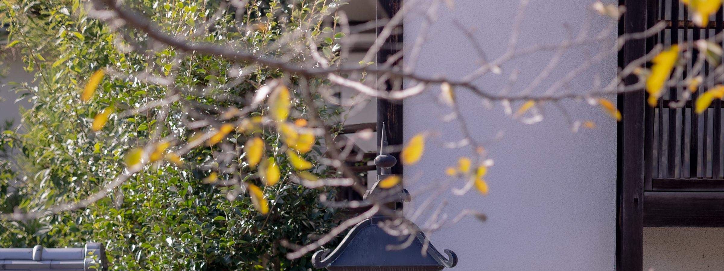 京都の写真撮影サービス