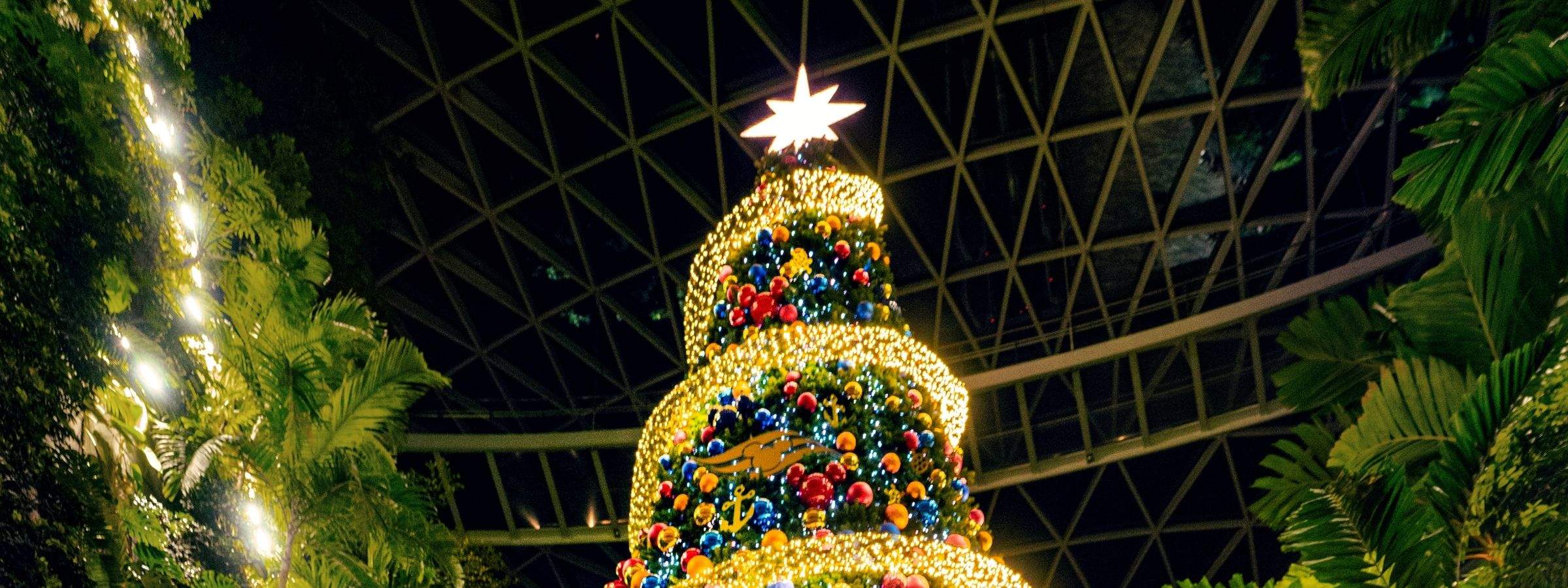 新加坡星耀樟宜景点门票