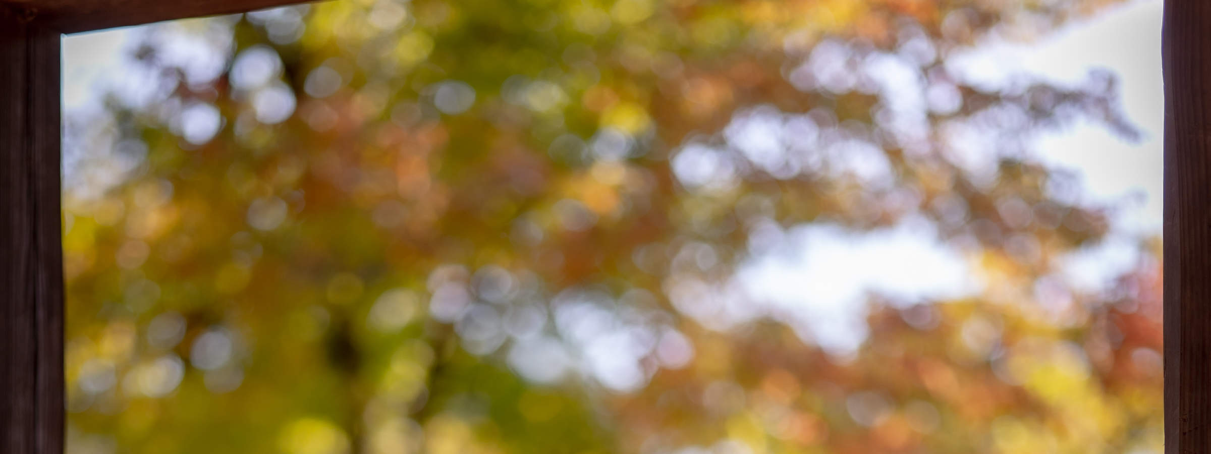 교토 사진 서비스