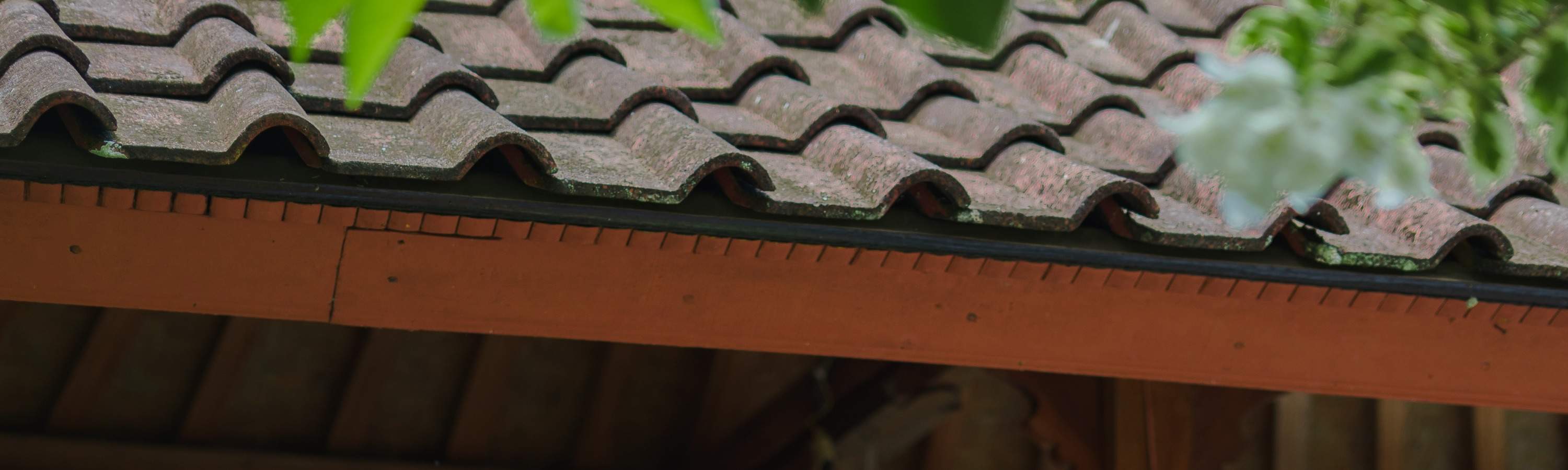 巴厘島Rural Commune探索之旅（烹飪體驗 / 騎行 / 療愈體驗）