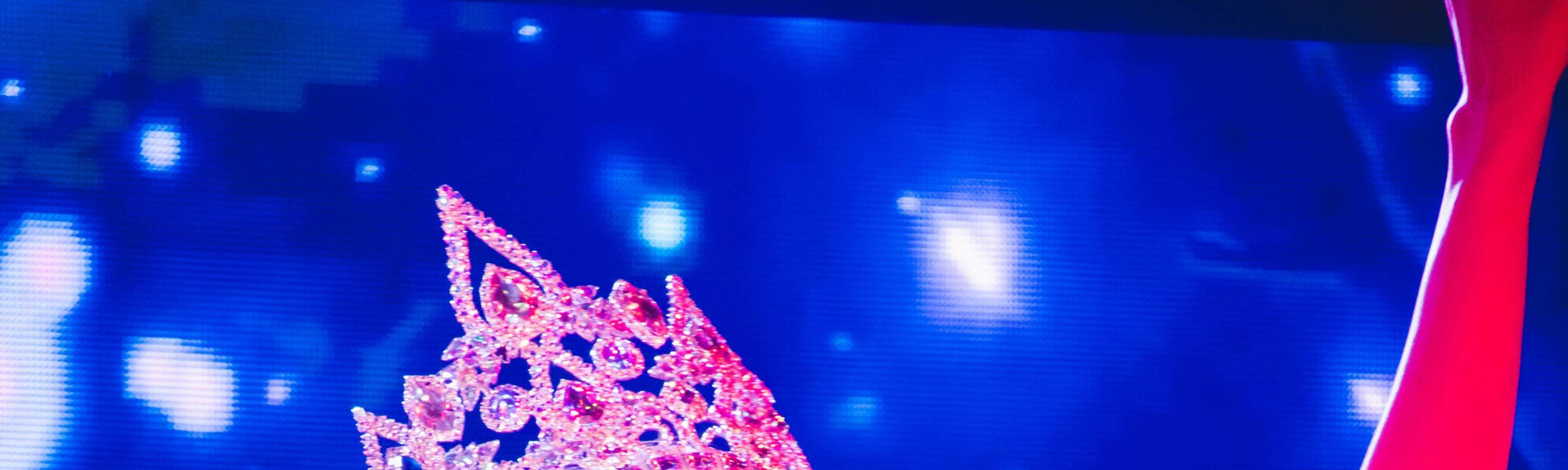 Entertainment Show Museum (일본 대중문화) 입장권