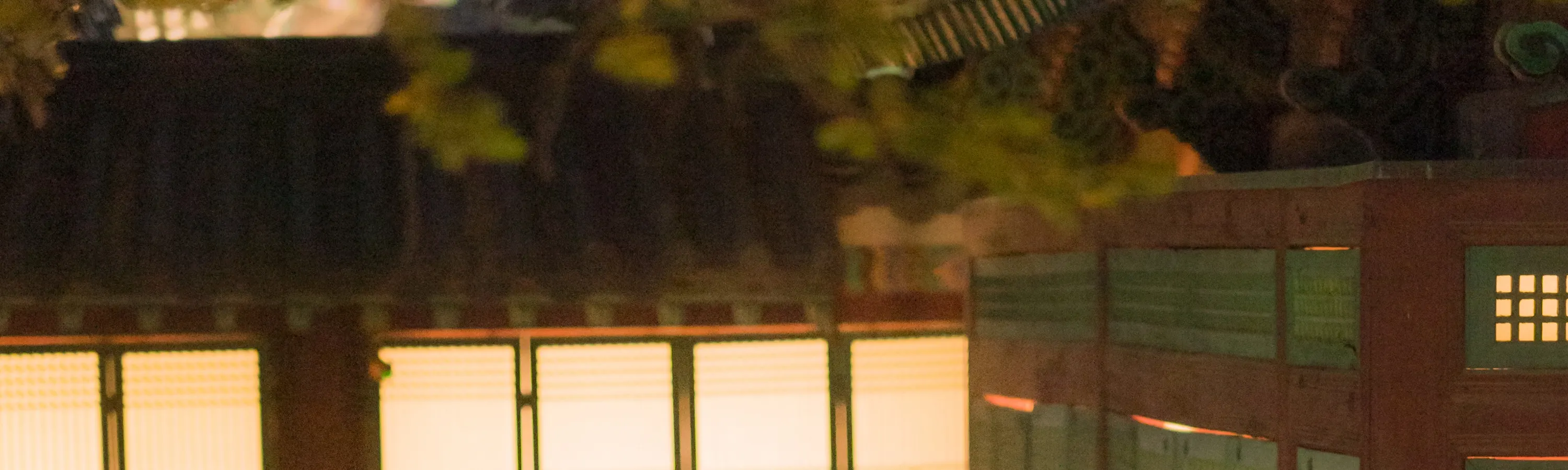 夜间宫殿漫步
