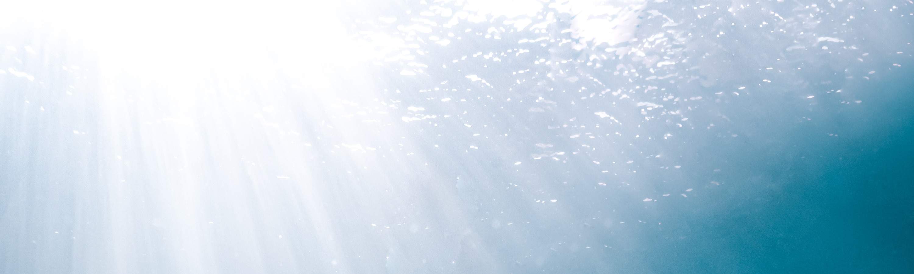 Đài Đông: Lặn tự do ở Đảo Xanh (Không cần bằng & kèm chụp ảnh dưới đáy biển)