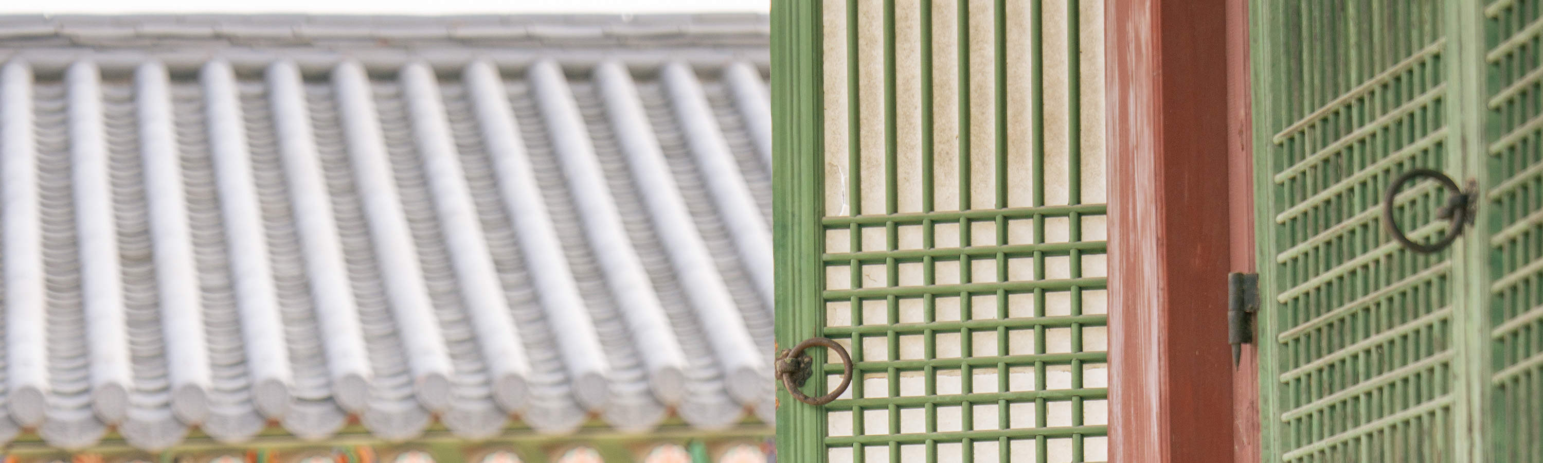 Foto-Shooting & Video-Dreh Erlebnis in Seoul