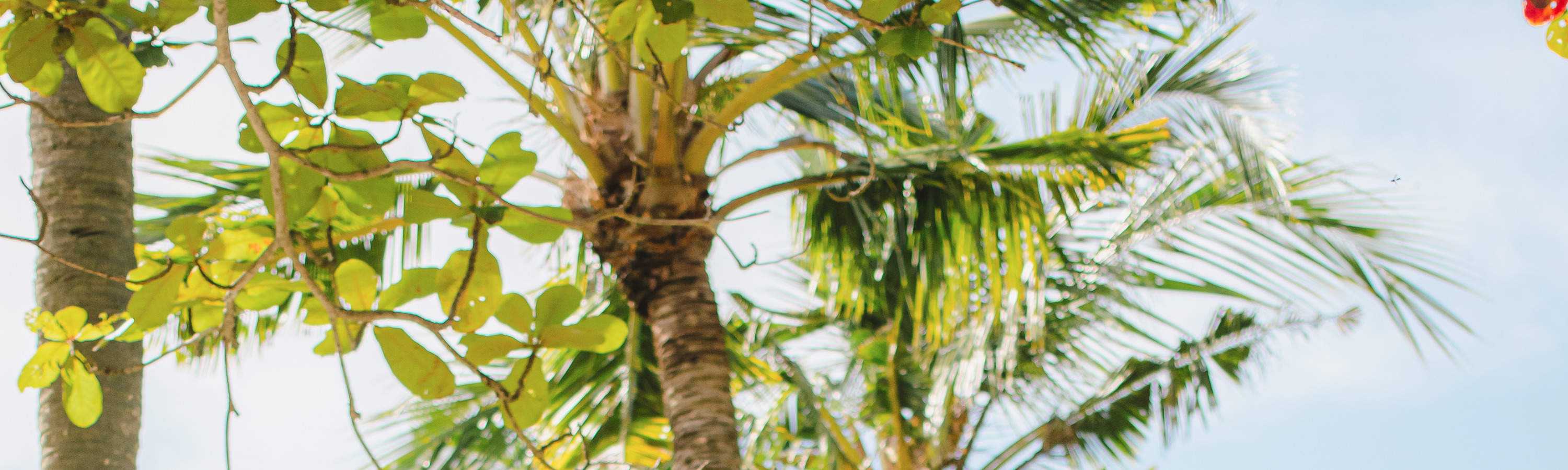 プライベート写真撮影体験（バリ）