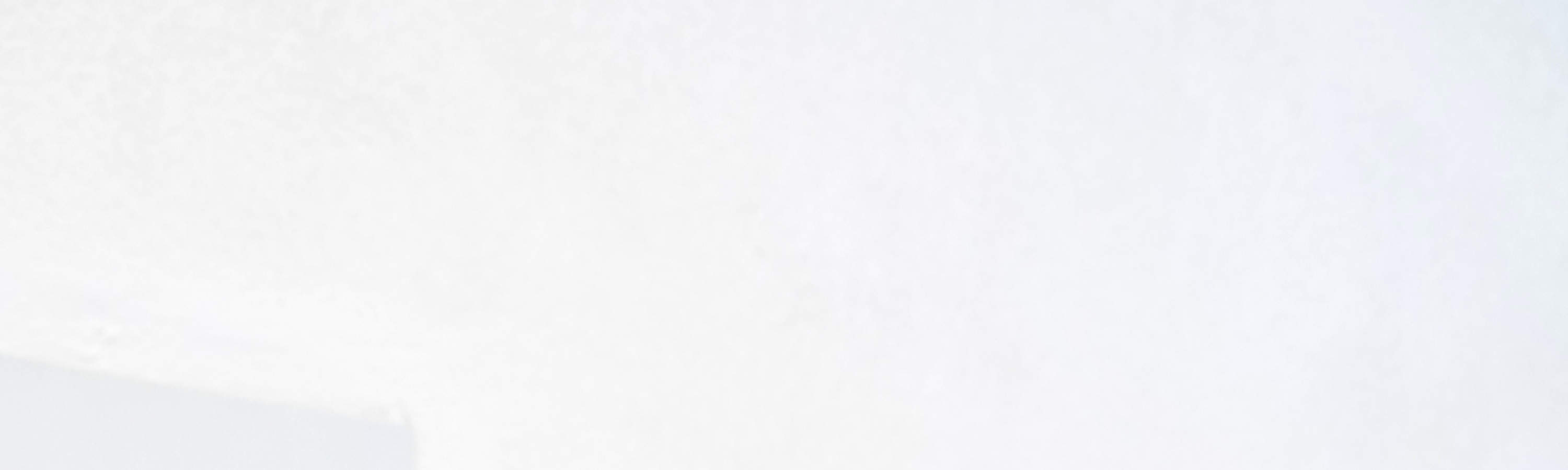 Cafetería y Salón de Mascotas en Bali: El Nirvana de las Mascotas