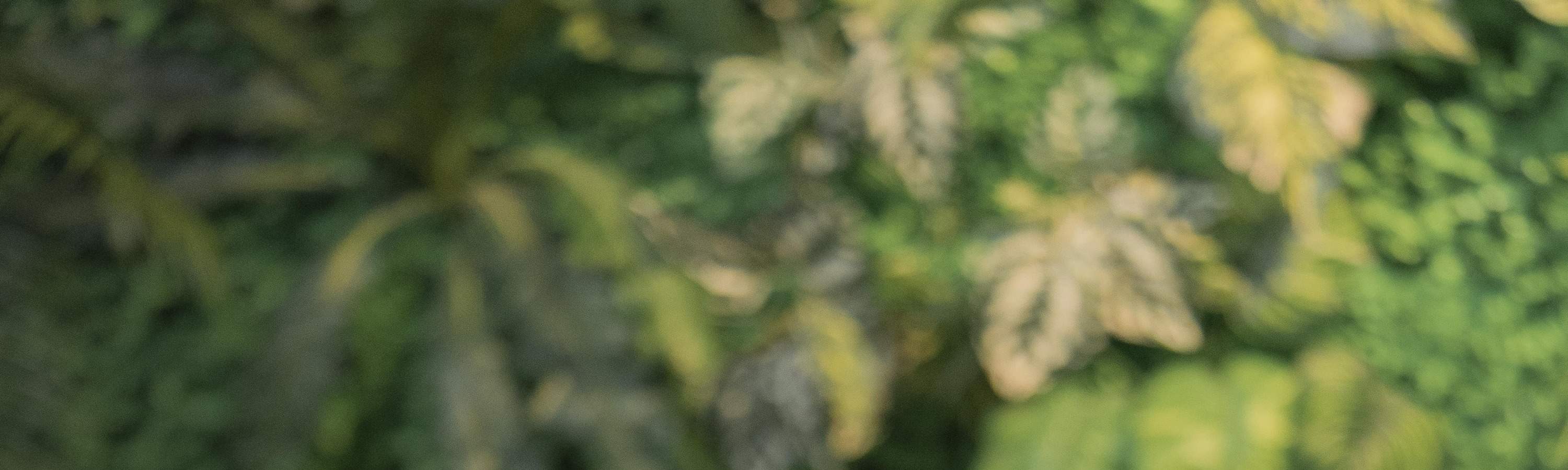 Flowery High-Tea Set