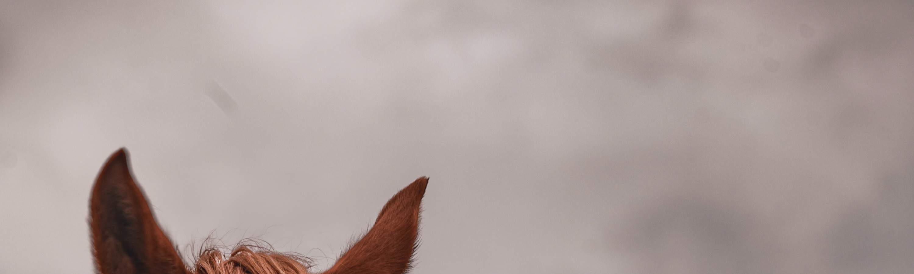 카파도키아 아라비아 스타일 사진 촬영