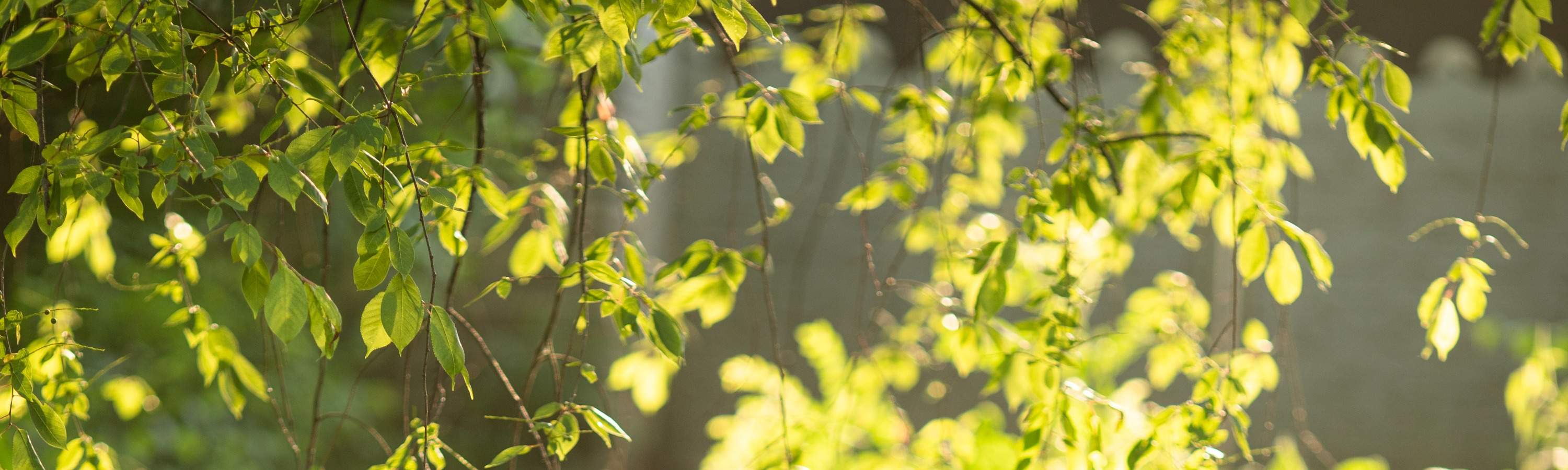 Pengalaman Menyewa Hanbok di Yirenbang