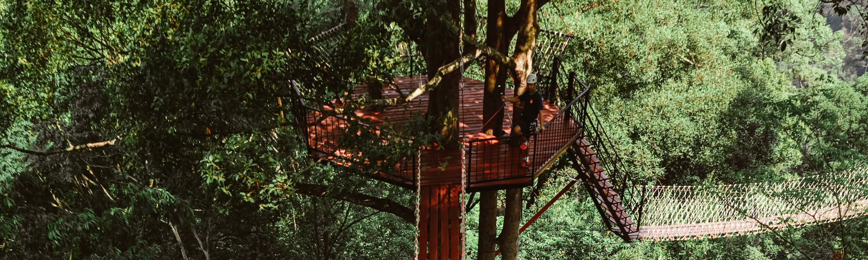 Trải nghiệm Zipline Rồng Bay ở Cha Mai