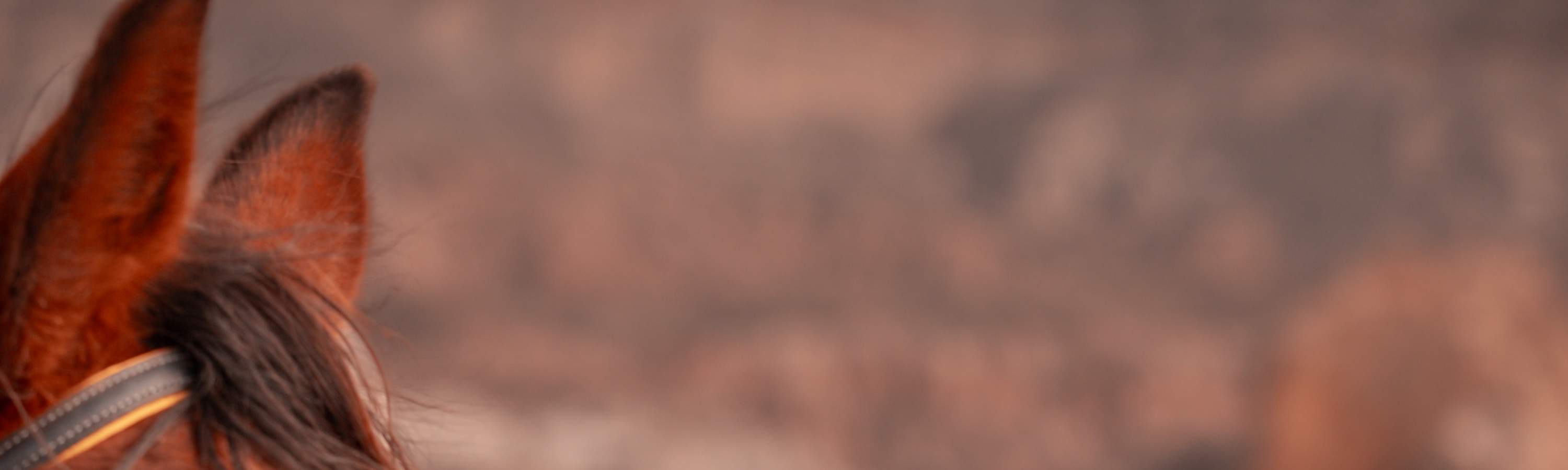 카파도키아 아라비아 스타일 사진 촬영