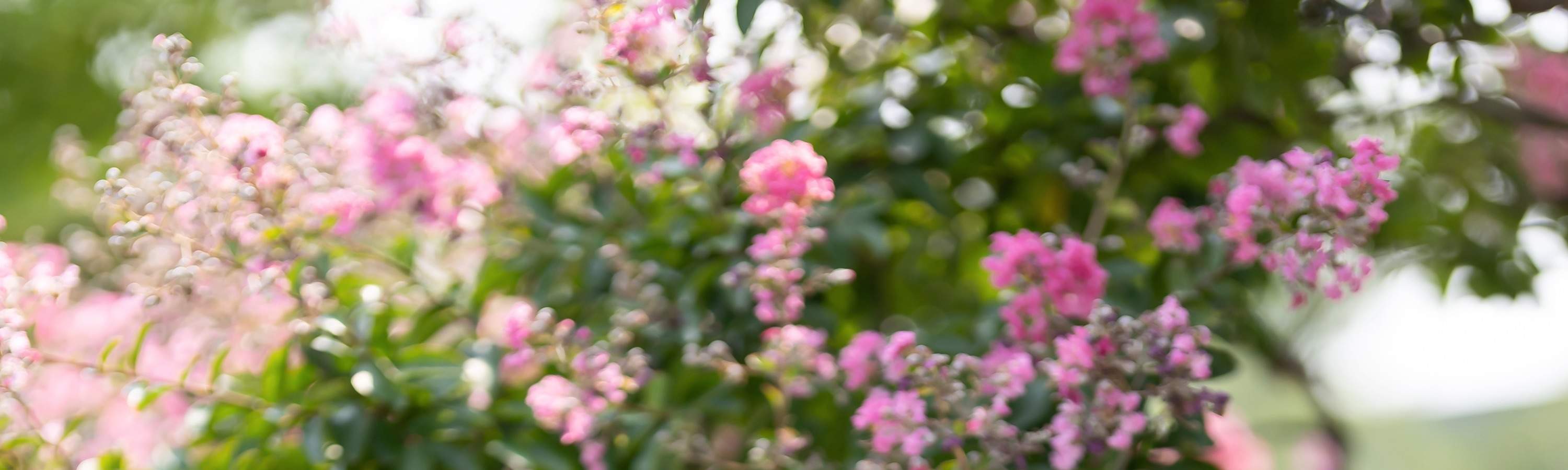 Servizio fotografico di lusso all'aperto (con trucco + stampa fotografica)