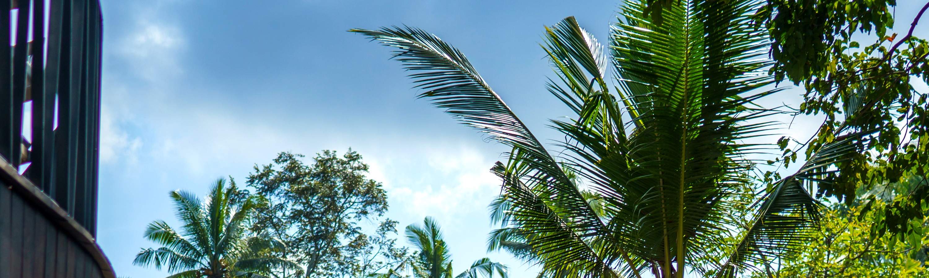 Dschungel-Sitzbereich auf dem Boden