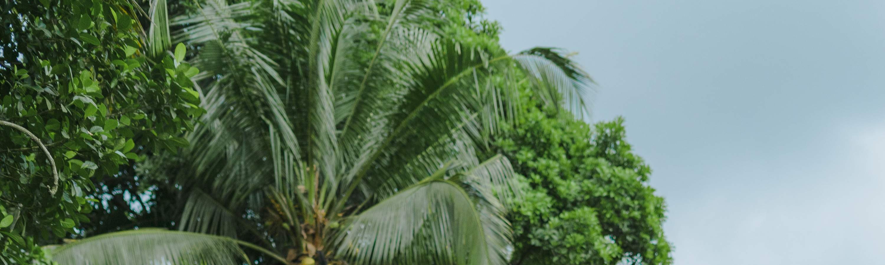 Viaggio di guarigione balinese, corso di cucina, ciclismo o esperienza di vita balinese al Bali Rural Commune