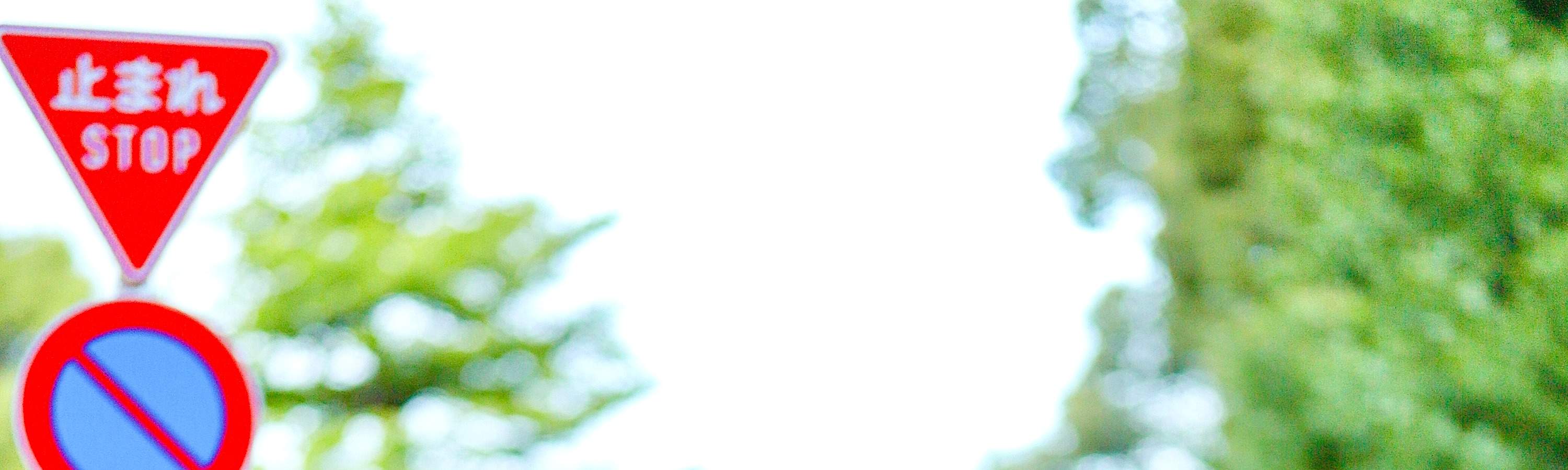 Prise de photos pré-mariage