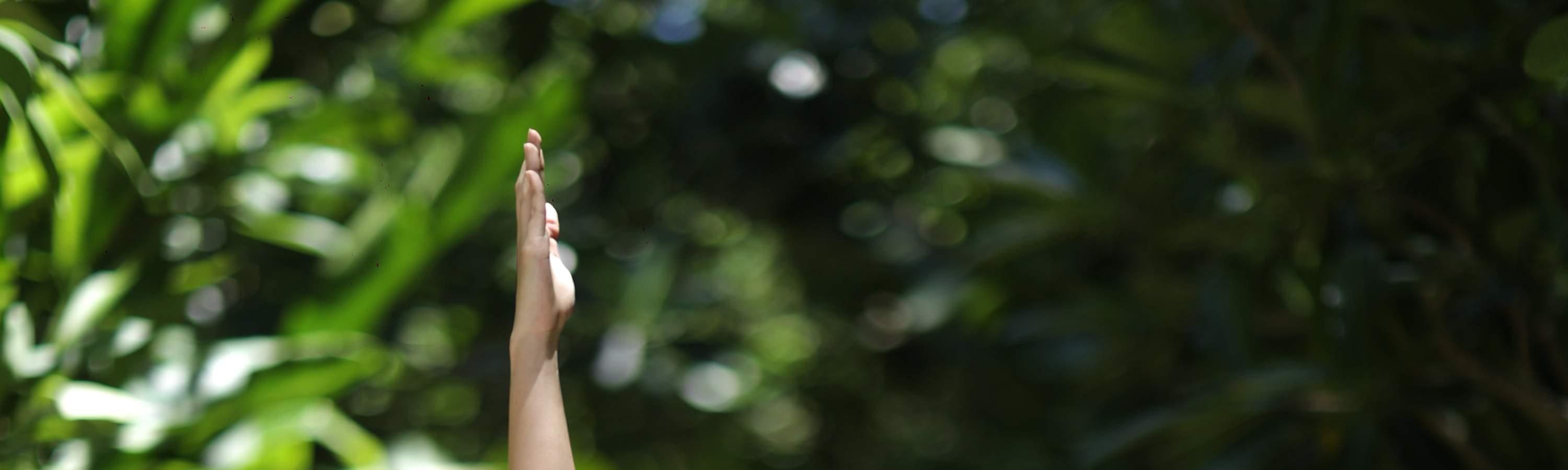 Mandala Spa 长滩岛瑜伽课