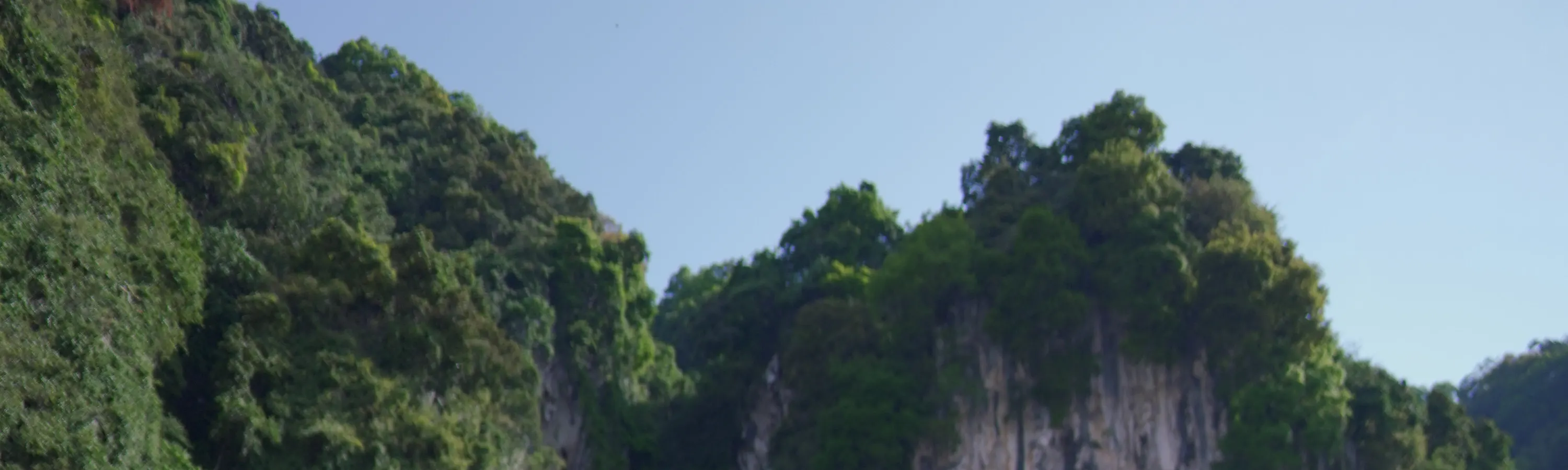 吉隆坡或云顶高原包车服务（英文/中文司机）