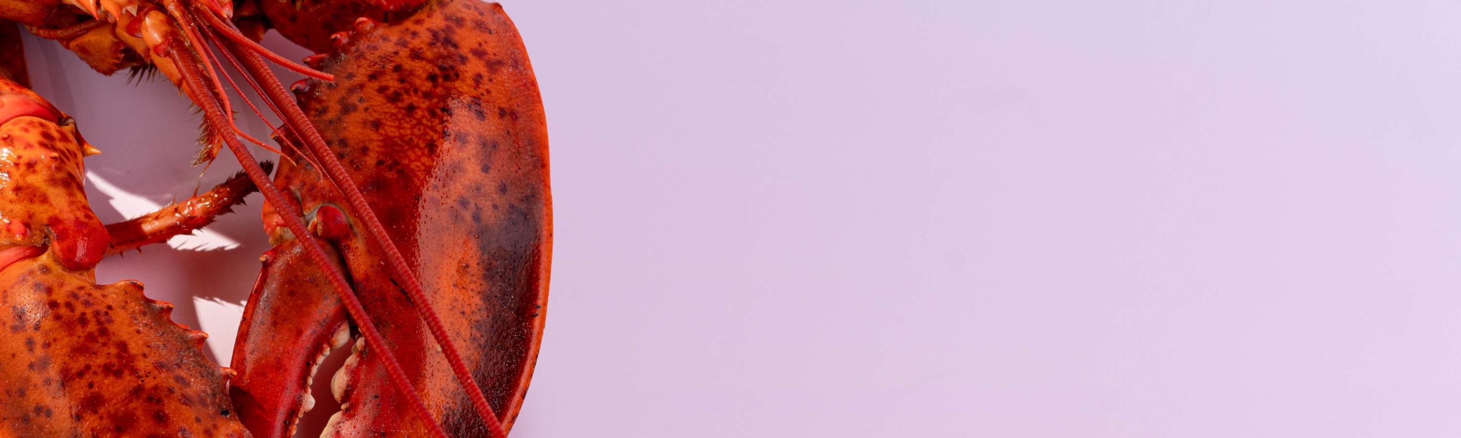 [Buffet Discount] Shenzhen Four Seasons Hotel Buffet丨'Fu' Restaurant丨 Buffet Lunch Buffet Dinner