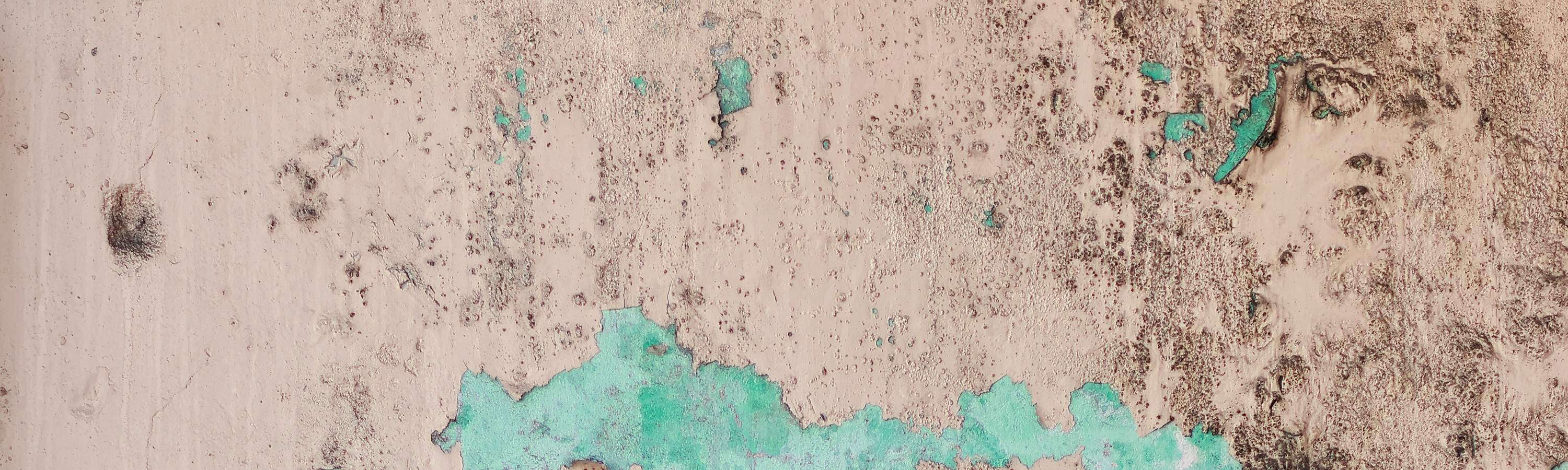 Traditional Costume Experience in Malacca