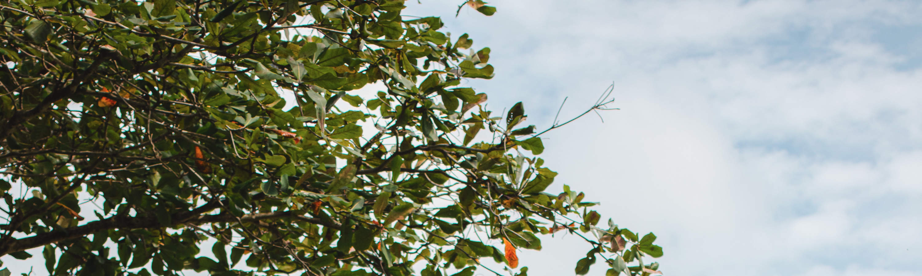 プライベート写真撮影体験（バリ）