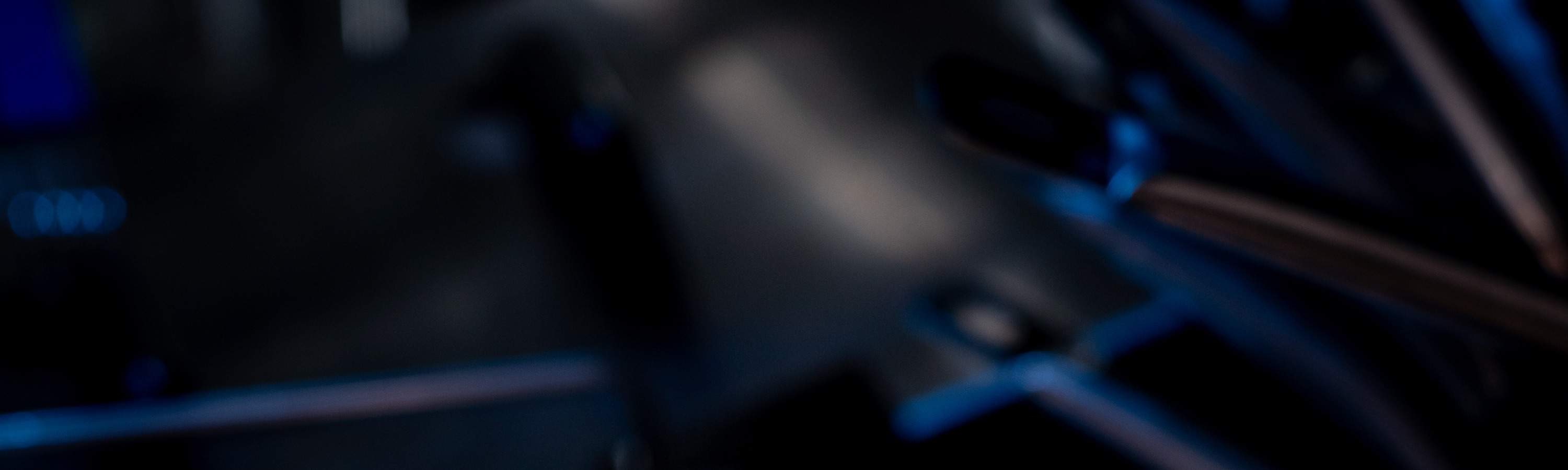 ビュッフェディナーフードプロモーション