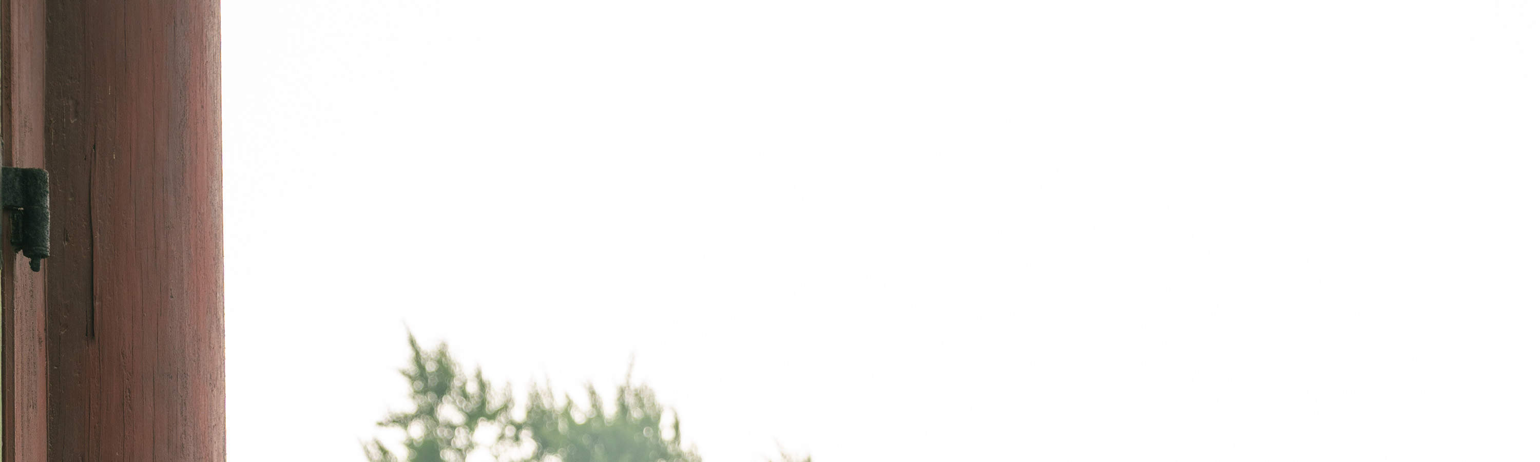 Photo-Shooting & Videos Making Experience in Seoul