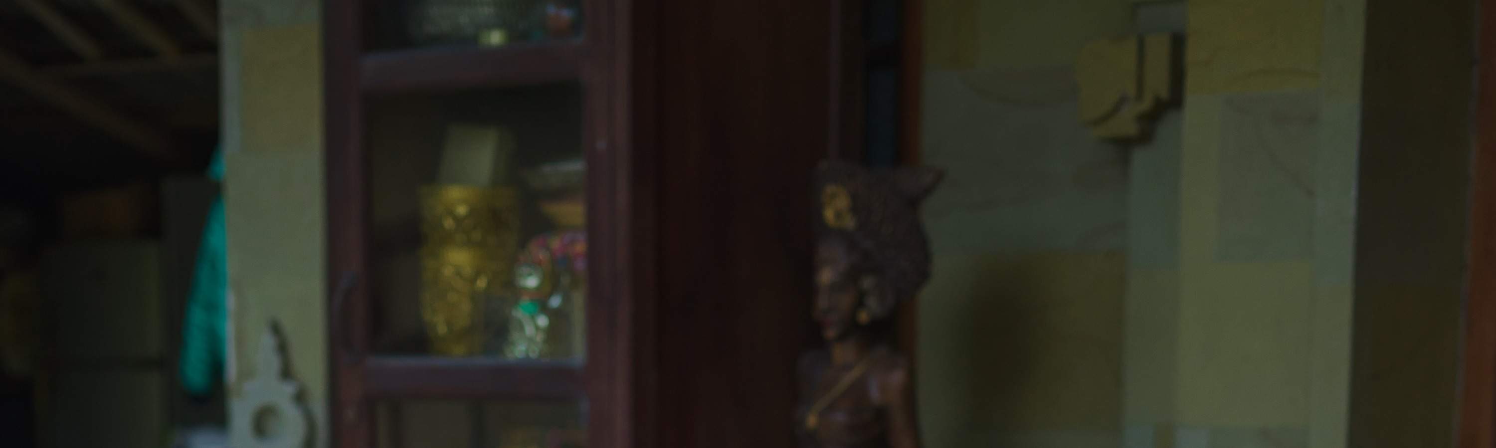 Viaggio di guarigione balinese, corso di cucina, ciclismo o esperienza di vita balinese al Bali Rural Commune